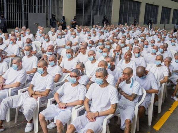 Tres integrantes de la Mara Salvatrucha (MS-13), convertidos en testigos colaboradores de la Fiscalía, han revelado detalles sobre los lugares utilizados por la estructura criminal para asesinar y ocultar a sus víctimas durante los años en que Nayib Bukele comenzaba su carrera política en El Salvador.