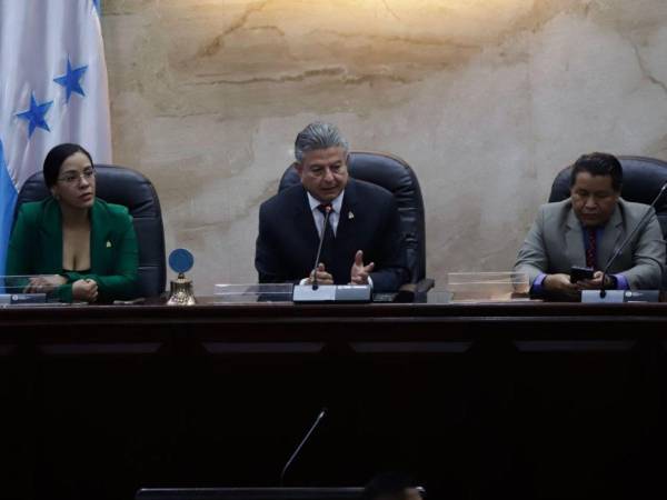 El ministro de Gobernación, Descentralización y Justicia, Tomás Vaquero, presidió la sesión.