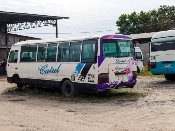 La suspensión del servicio ha dejado a miles de ciudadanos sin una de sus principales opciones de transporte diario.