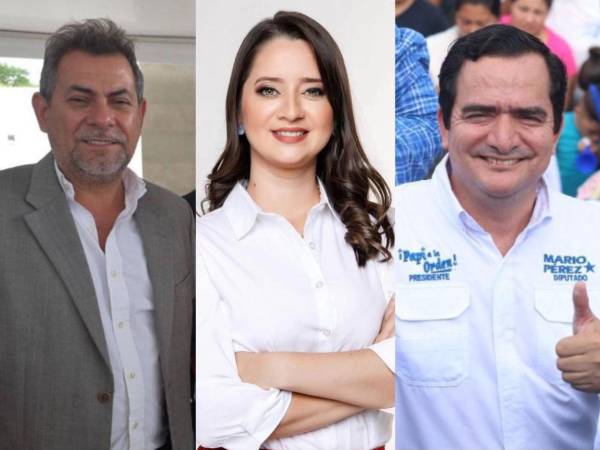 El Congreso Nacional 2026-2030 se renueva en varios departamentos; sin embargo, una decena de congresistas repite entre tres y cuatro periodos. También caudillos como Antonio Rivera Callejas (nacionalista de Francisco Morazán) y José Alfredo Saavedra (liberal de Valle) están quedando fuera.