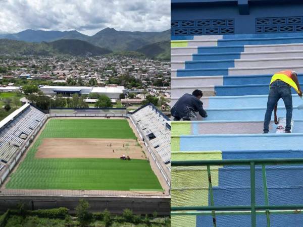 La Liga Nacional tendrá otro estadio con una grama espectacular de primer nivel. Así avanza la remodelación del escenario y la instalación del nuevo césped.