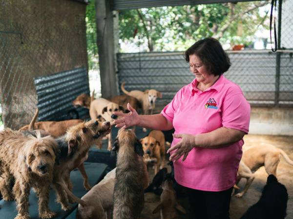Marta Guzmán lidera un refugio con más de 500 perros en San Pedro Sula, enfrentando abandono animal sin apoyo estatal.