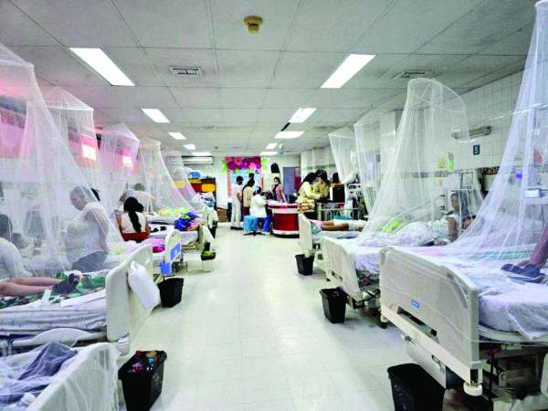 <b>La Secretaría de Salud indicó que el 36% de los afectados por el dengue son menores de 5 a 9 años de edad y, por eso, piden mantener las medidas de prevención.</b>