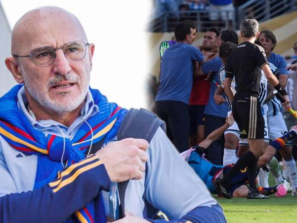 Luis de la Fuente se refirió a los incidentes en la final entre España vs Argentina.