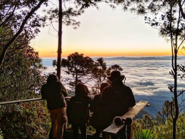 Rodeado por la majestuosidad del Parque Nacional Montaña de Celaque (foto) y el imponente Cerro Puca, Vista del Río ofrece un entorno natural único en el occidente de Honduras, ideal para quienes buscan naturaleza, paisajes de montaña y turismo de descanso en la Ruta Lenca.