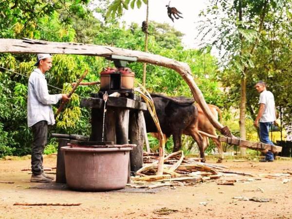 Desde 2005, el hotel de campo Villa de Ada se ha erigido en esta histórica ciudad como un refugio que se niega a dejar morir el pasado.