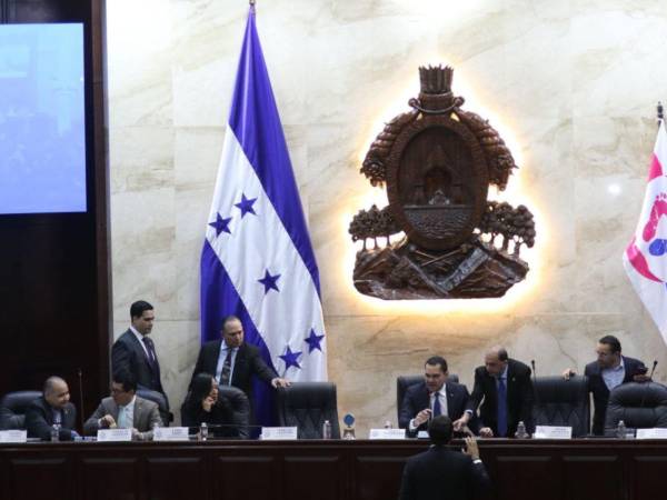 El próximo lunes el CNA entregará formalmente el informe a la presidenta del Consejo Nacional Electoral, Ana Paola Hall, y al presidente de la comisión electoral del Congreso Nacional, Antonio Rivera Callejas.