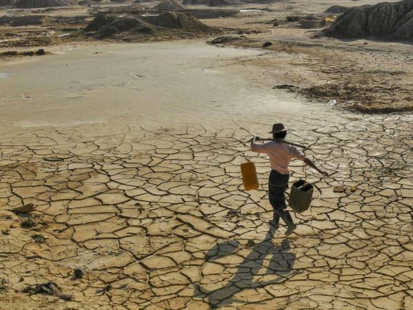 Alertan que sequía pondrá en riesgo alimentario a millones en Honduras.
