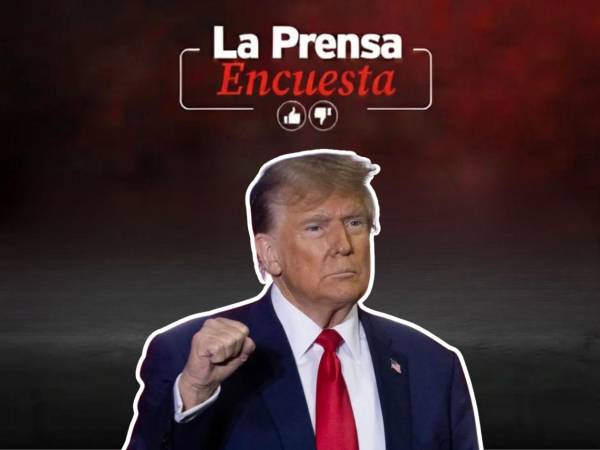Donald Trump es el presidente de Estados Unidos.