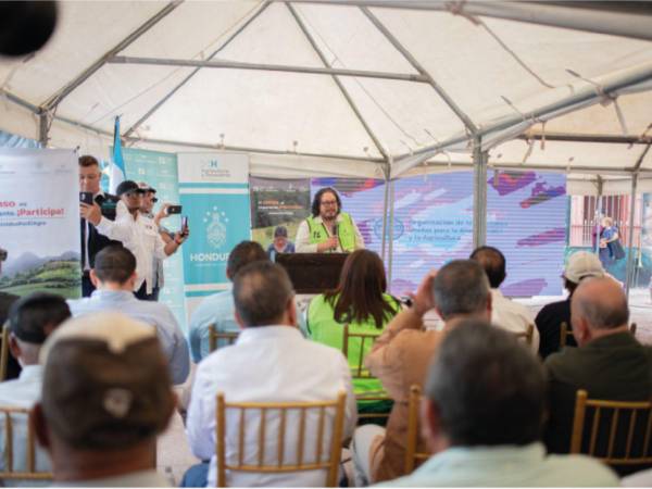 El INE es la entidad estatal encargada de coordinar la producción, recolección, análisis y publicación de estadísticas oficiales en Honduras.