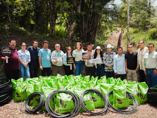 La asistencia técnica es clave para el éxito del programa. Durante las jornadas, los productores adquieren conocimientos en agricultura regenerativa para hacer frente al cambio climático.