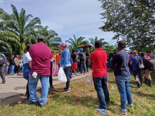 Desde diciembre de 2024 hasta febrero de 2025, familias han sido desplazadas de fincas cooperativas, sufriendo millonarias pérdidas.