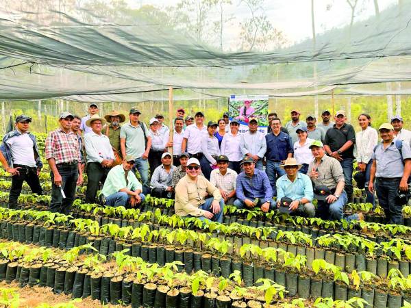 <b>El sector cacaotero está recuperando el protagonismo en producción y capacitándose para recuperar terreno.</b>