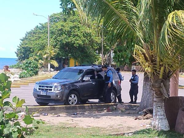 La víctima conducía una camioneta cuando fue ultimado a disparos.