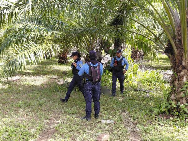 La Policía Nacional llegó hasta el lugar para acordonar la escena.
