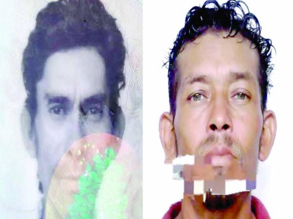 Lisandro Herrera Medina y Licinio Lanza Domínguez.