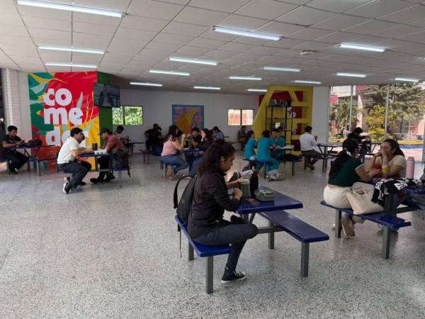 El comedor no solo funcionará como un espacio físico para consumir alimentos, sino también como parte de un sistema de apoyo que contemplará<b> </b>becas alimentarias.