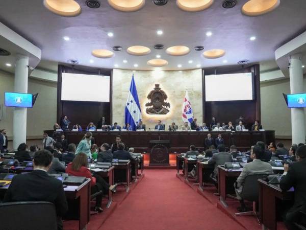 Tras el juicio político, el Congreso elegirá a los nuevos funcionarios que asumirán las vacantes en el CNE y el TJE.