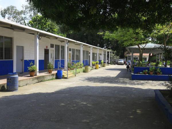 Fundado en 1980, el centro de educación básica Lila Luz de Maradiaga se ha consolidado como uno de los centros educativos emblemáticos del barrio Cabañas, en San Pedro Sula.