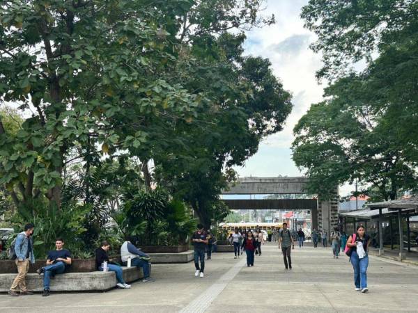 El proceso está dirigido a las y los estudiantes interesados en participar activamente en la vida democrática universitaria.