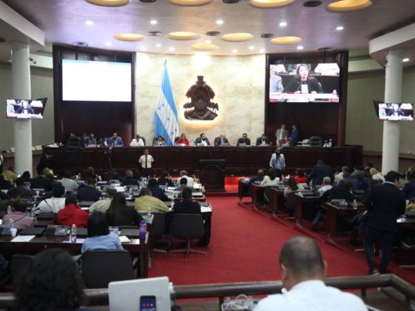 Diputados votan en el Congreso Nacional.