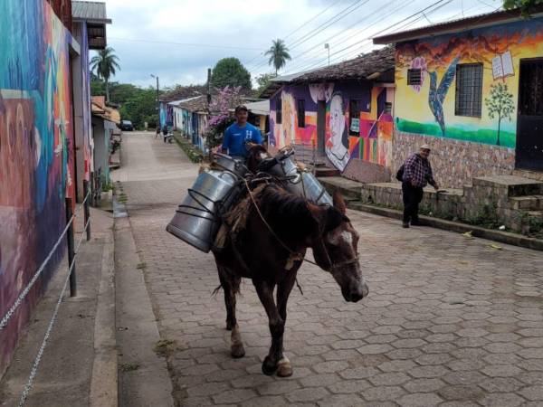 La economía de Dulce Nombre se sostiene principalmente en la caficultura, ganadería, junto a la herrería artesanal, el comercio local y las remesas.