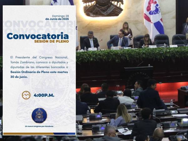 Diputados fueron citados para sesionar el martes 30 de junio y miércoles 1 de julio, pese al receso legislativo, para discutir exclusivamente las reformas al subsector eléctrico.