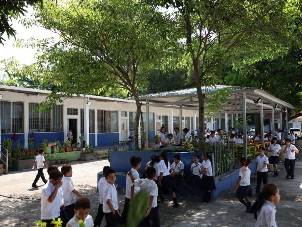 El CEB Lila Luz de Maradiaga cuenta con una matrícula de más de 900 estudiantes, distribuidos en las jornadas matutina y vespertina.