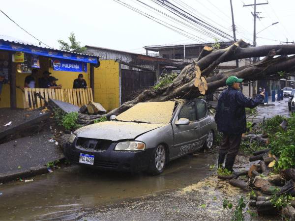 Cuadrillas de la municipalidad en conjunto con los Bomberos realizan trabajos de limpieza y retiro de árboles caídos.