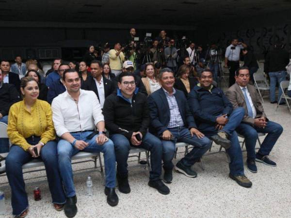 La oposición prepara una nueva autoconvocatoria con el propósito de respaldar a las autoridades del CNE y del TJE.