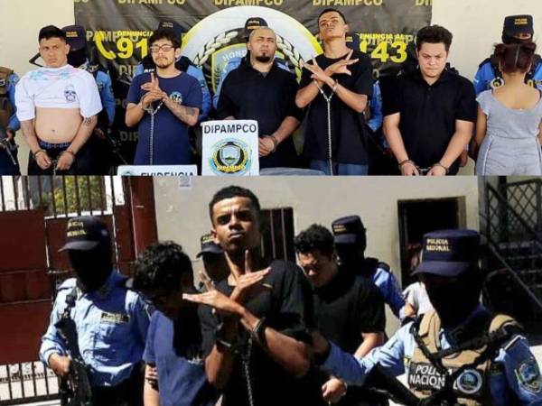La Dirección Policial Anti Maras y Pandillas Contra el Crimen Organizado (DIPAMPCO) capturó a ocho integrantes de la Pandilla 18 durante dos operaciones realizadas en el municipio de San Buenaventura, al sur de Tegucigalpa.