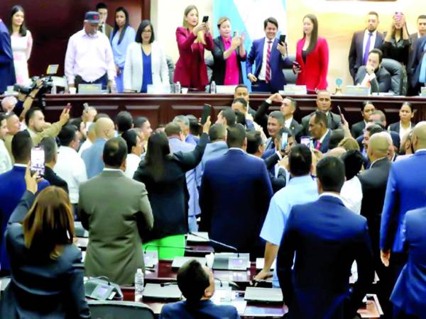 Cámara. Debido a las turbas de Libre, las consejeras Ana Paola Hall y Cossette López, quien defendió el proceso electoral y la transparencia del voto, abandonaron el hemiciclo.