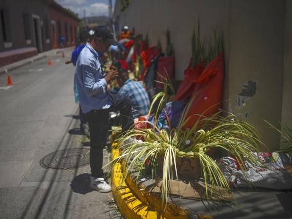 Un campesino vende ramos de palma en la víspera del Domingo de Ramos, que marca el inicio de la Semana Santa este viernes, en la entrada de la Catedral de la Inmaculada Concepción en Comayagua (Honduras). EFE/ Bienvenido Velasco