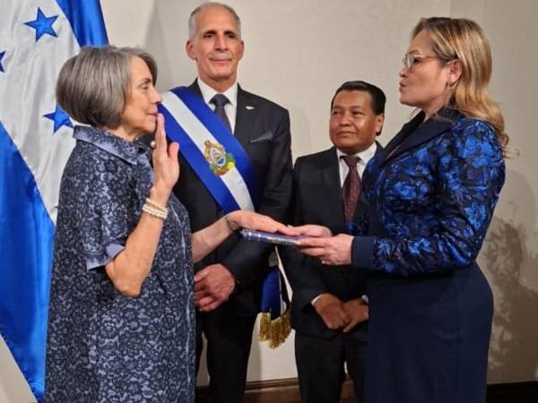 Entre mayo de 2013 y noviembre de 2014 fungió como ministra de Relaciones Exteriores de Honduras. Esta mañana de 27 de enero de 2026 ya juró servir a la República con el mandatario Asfura de testigo.