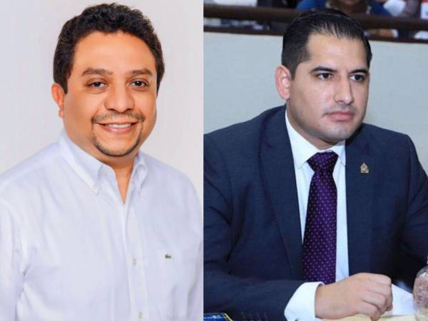 Diputados Ramón Barrios y Jhosy Toscano.