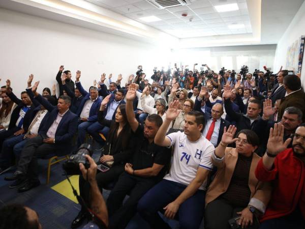 Diputados opositores durante la sesión extraordinaria.