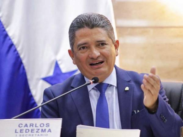Carlos Ledezma, secretario del Congreso Nacional.