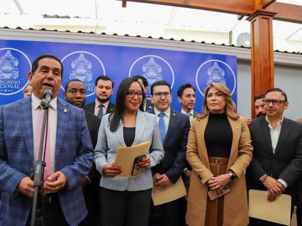 La Comisión Especial del Congreso Nacional entregará a inicios de esta semana la lista de 18 candidatos que será sometida a votación en el pleno.