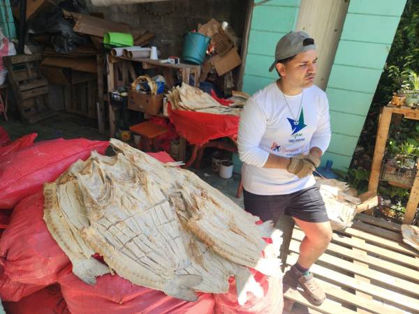 El comerciante Ángelo Guevara explica que la escasez de producto por mal clima elevó el precio del pescado seco este año; asimismo, recomienda verificar que el producto no presente manchas rosadas para garantizar su calidad.