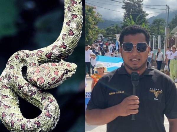 Una aventura en la montaña por parte del periodista hondureño Ronald Aguilar por poco termina en una tragedia, por fortuna.