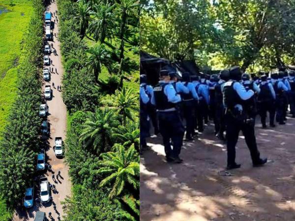 Una tensa y conflictiva jornada se registró este lunes al mediodía en la finca Camarones, ubicada en la aldea Quebrada de Arena, en Tocoa, Colón, donde un operativo policial ejecutó un desalojo contra más de doscientas familias campesinas que habitaban el lugar desde hace varios años.