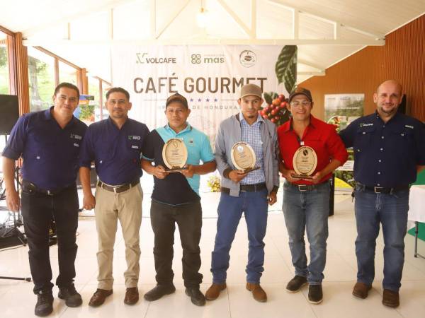 Ganadores de la segunda edición de Café Gourmet 2026 en el occidente del país, junto a los ejecutivos de Volcafe en Honduras.