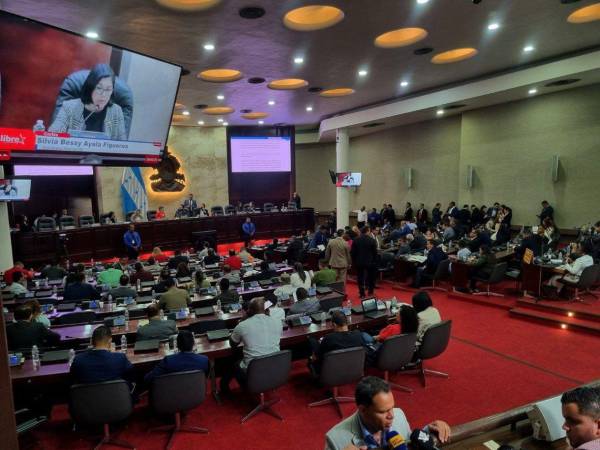 El presupuesto, que aún debe ser aprobado por el Congreso Nacional, contempla la adquisición de material electoral y la contratación de empresas encargadas de la logística del proceso, entre otros.