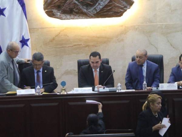 El proyecto también contempla la habilitación de mecanismos para que la ciudadanía pueda denunciar casos de maltrato animal.