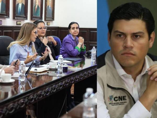 Una denuncia de juicio político contra Marlon Ochoa, ya separado del Consejo Nacional Electoral (CNE), lo señala de obstruir y entorpecer el proceso electoral de 2025.