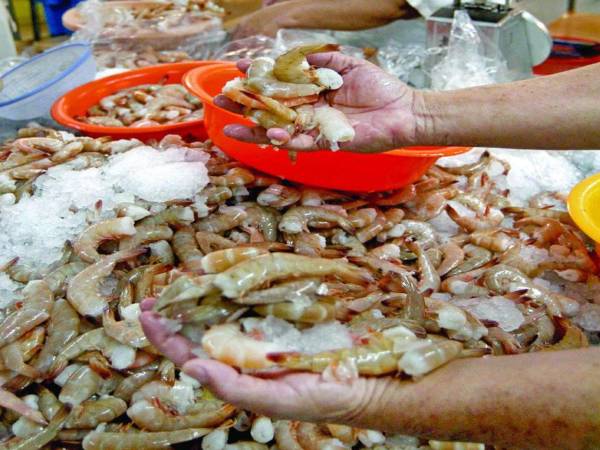 Trabajadores hondureños en una productora camaronera.