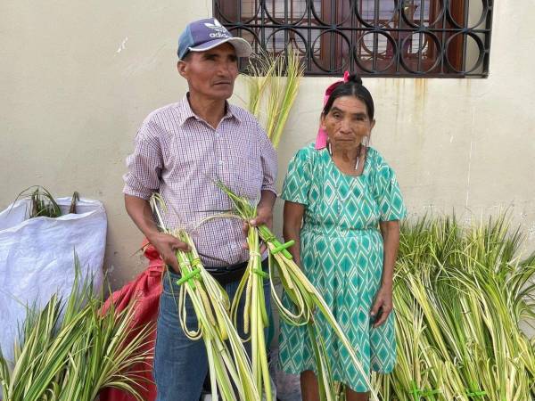 En el marco de la Semana Santa, en conmemoración del Domingo de Ramos, la Policía Nacional se encuentra lista para desplegar operativos de seguridad y control en distintos puntos de la ciudad, especialmente en zonas donde tradicionalmente se realiza la venta de palmas de olivo.