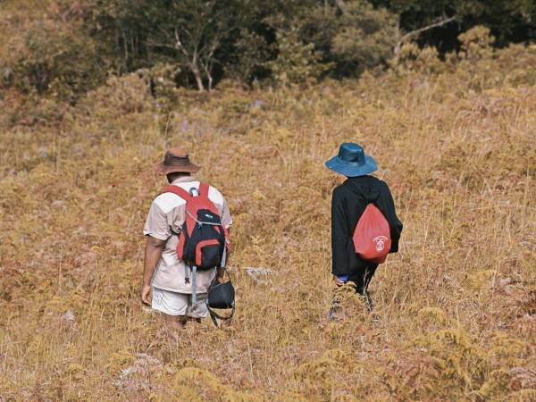 Las autoridades del estado de Texas siguen trabajando en el proceso de identificación de las seis personas que fueron encontradas muertas el domingo pasado dentro de un vagón de tren en el área de Laredo.