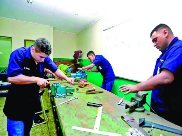 Ambos cursos iniciarán el mes d<b>e </b>agosto de 2025 y están dirigidos a personas mayores de 18 años.