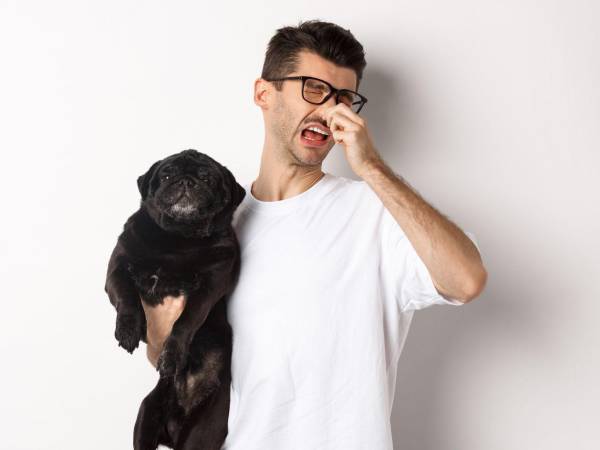 Pese al fenómeno de antropomorfismo, aún existen muchas personas que no toleran a los perros o prefieren tenerlos de lejos por diversas razones.